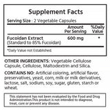 Extra Strength Fucoidan 600