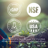 Vitamin B2 (Riboflavin) 400mg