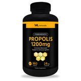 Standardized Propolis 1200mg (Super Size)